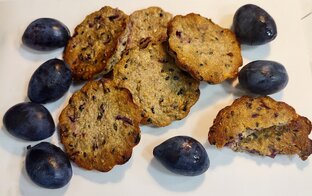 Рубрика игольчатого питания