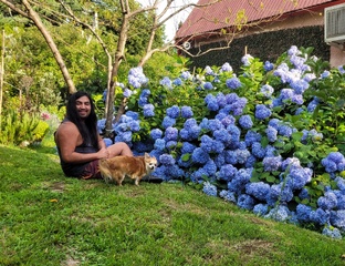 Что думают иностранцы о России