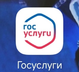 Заполняем заявления на Госуслугах