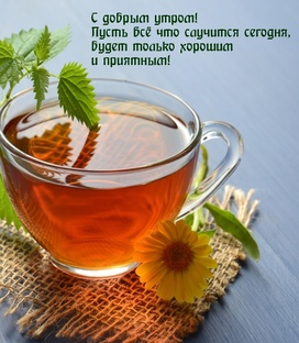 Домашний бармен 