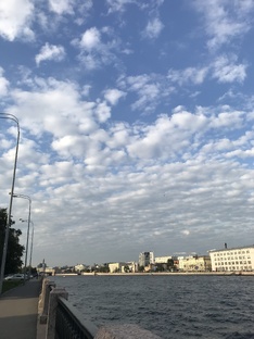 Жизненный сценарий 