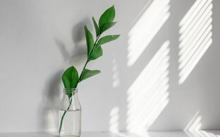 Минимализм 🌿
