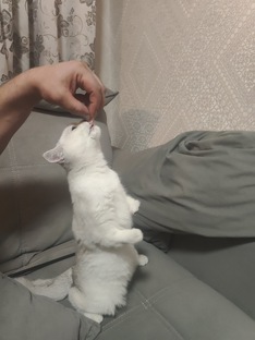 наш Олежек 
