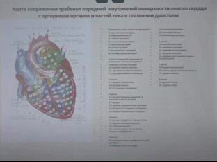 Сердце. Неизвестные феномены сердечной деятельности. 