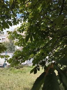 лето в провинции