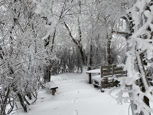 Хроники нашей Нарнии - 2026 🐈 🐈‍⬛ 🏃🏽‍♀️ 🏃‍♂️ 
