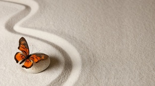 Узнать себя