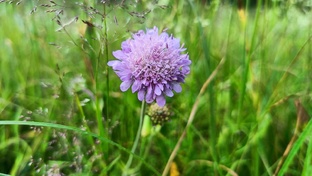 Это по-нашему