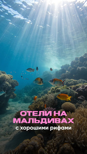 Мальдивы: отели с домашним рифом для снорклинга и дайвинга