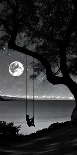 Тоси Боси ❤️