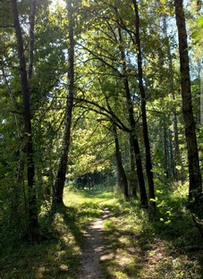 Видео и фотографии про природу