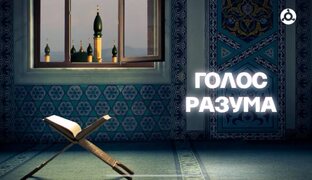 Голос разума 