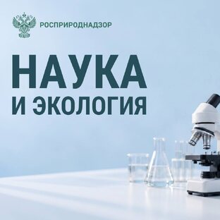 Наука и экология: исследования, технологии и открытия