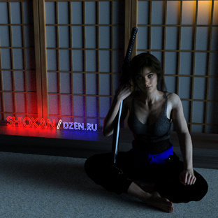 Технические приёмы ниндзюцу