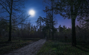 Короткие страшные истории.