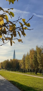 Размышления о жизни, воспоминания, мысли вслух