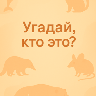 Угадай, кто это?