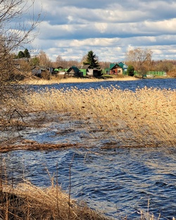 Ленинградская область