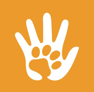 Про собак с умом.