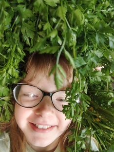 про Заготовки