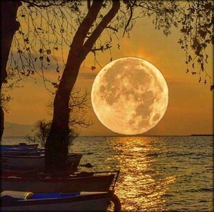 🌙 Фильмы на вечер 🌃🌙