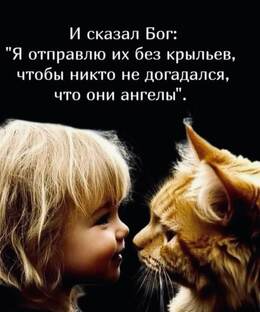 Это просто немного о нас  с Милой