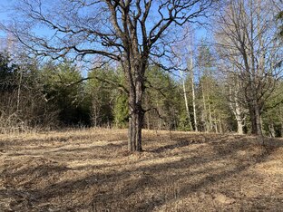 Красота природы