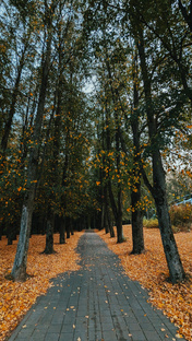 🍂 БЕЛАРУСЬ 🍂