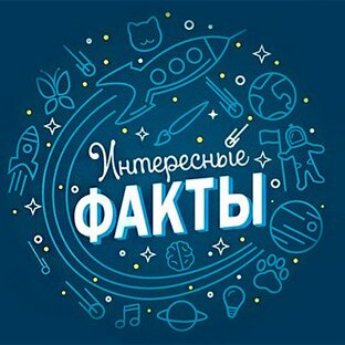 Интересные факты