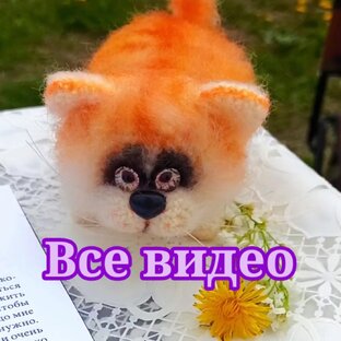 Все видео 