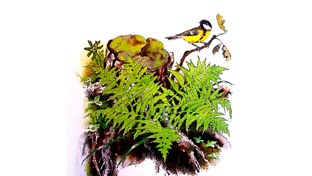 В. Бианки - Синичкин календарь