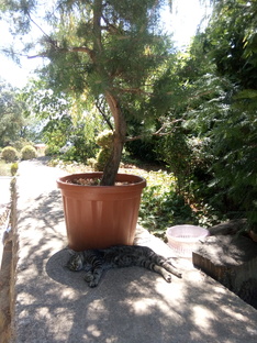 Всякое якое, быт, плюс путешествия