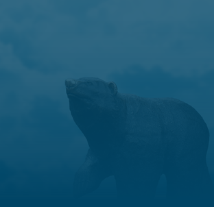 Города будущего: экспертный взгляд