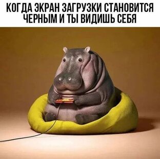 Мемы