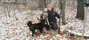 ОХОТНИЧЬЯ ТРОПА . ОХОТА С ЛАЙКАМИ 🐕🐕🐕