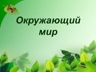 Окружающий мир 3 класс. Рабочие листы. Тесты.