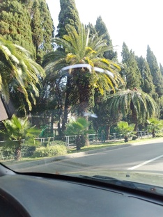 Краснодарский край 