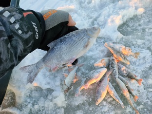 Безмотылка