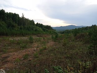 Научные статьи