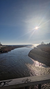 Психотравмы, утраты, горевание