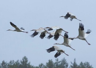 Владимир Кириленко 2