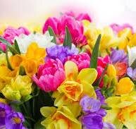 Мои стихи и проза