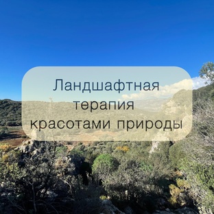 Ландшафтная терапия 