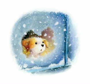 время чудес