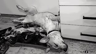 Записки собаки по имени Стив