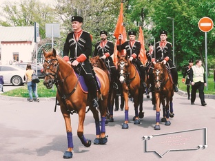 Конный спорт