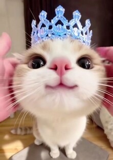 🌸☆подарочки♡🌹