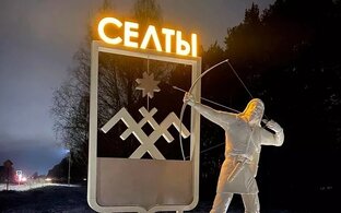 Селтинский район