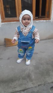 Озбек тиви