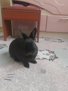 Фотографии Тимоши